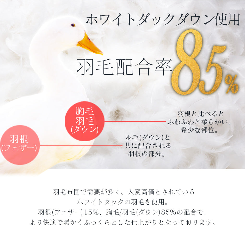 掛け布団 ホワイトダックダウン85％