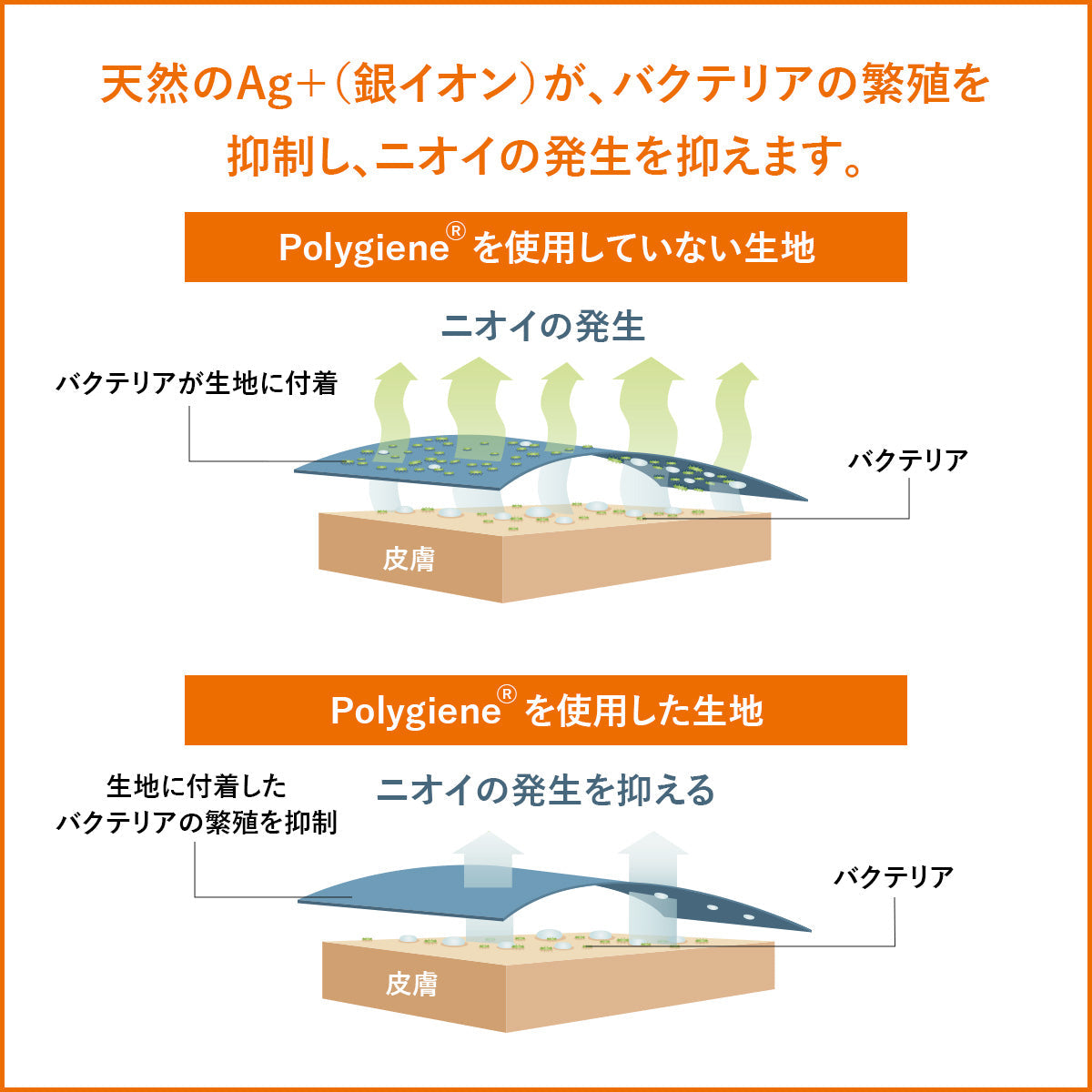 【昭和西川】ホテルモードまくら 幅60