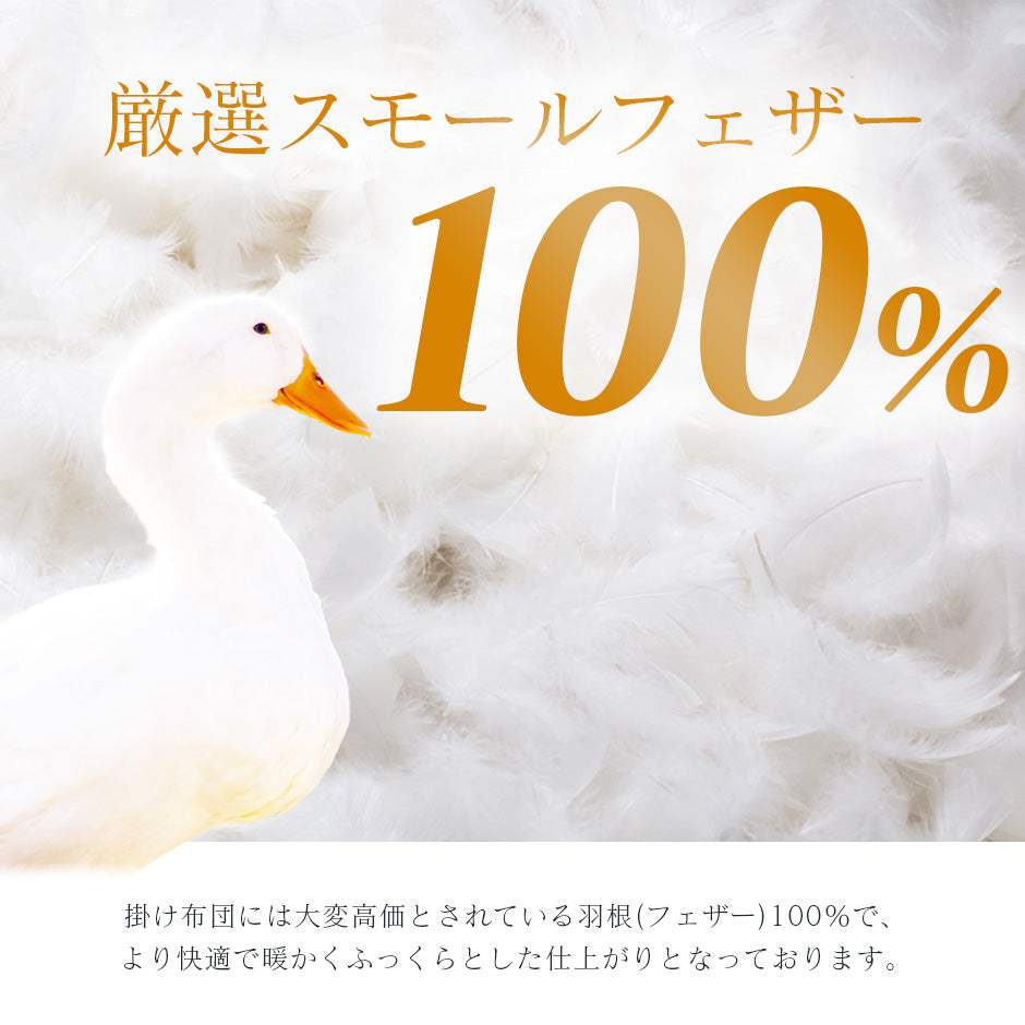 洗える布団7点セット シングル リヘラ