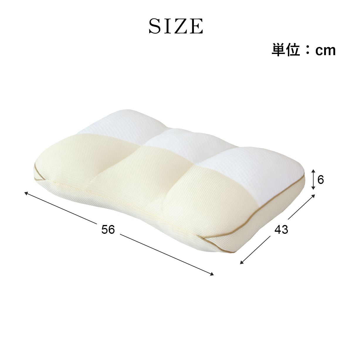 【昭和西川】私のお気に入りまくら 56×43