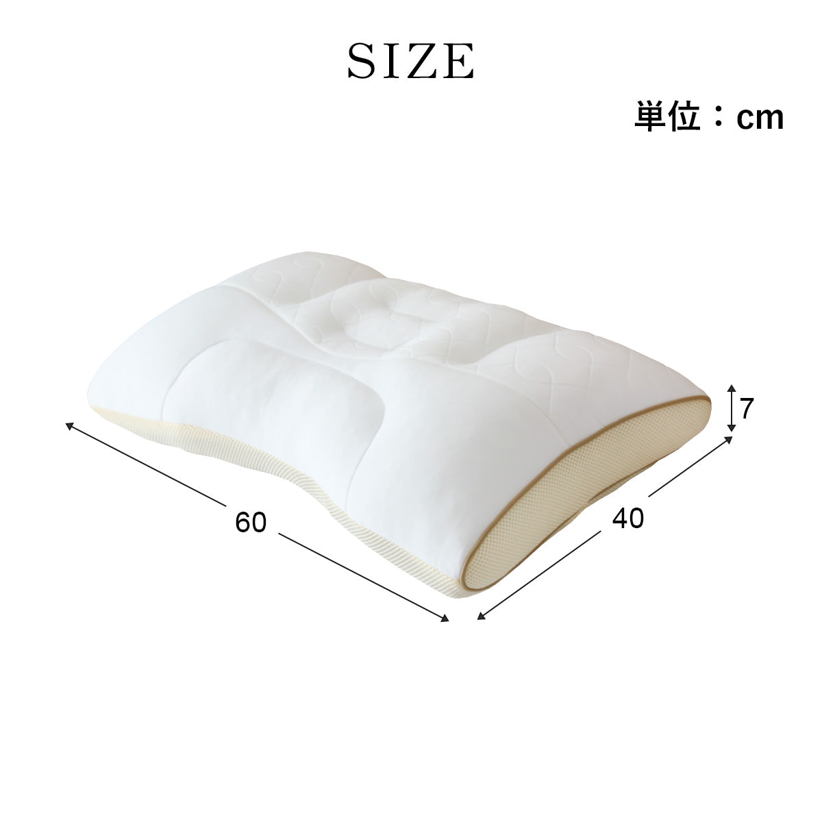 【昭和西川】眠りの贅沢まくら 60×40